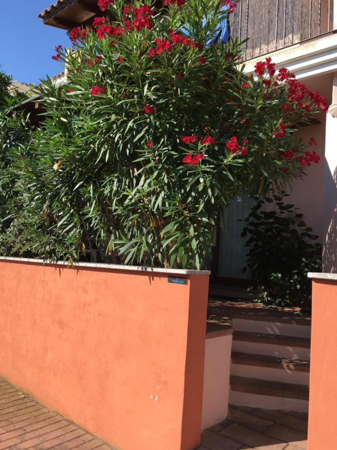 Ferienwohnung Borgo Saraceno Mirto 5 San Pasquale Exterior foto